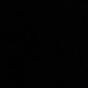 Meet your Posher, Selena